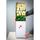Compra online caja con 24 rosas cremas Rosatel