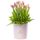 Flores Perú 20 tulipanes rosados y follaje en sombrerera rosada grande Rosatel