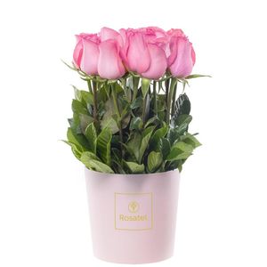Sombrerera Rosada Mediana con 15 Rosas