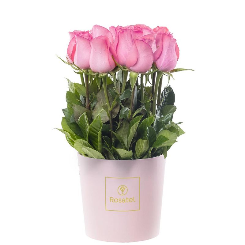 sombrerera-rosada-mediana-con-15-rosas