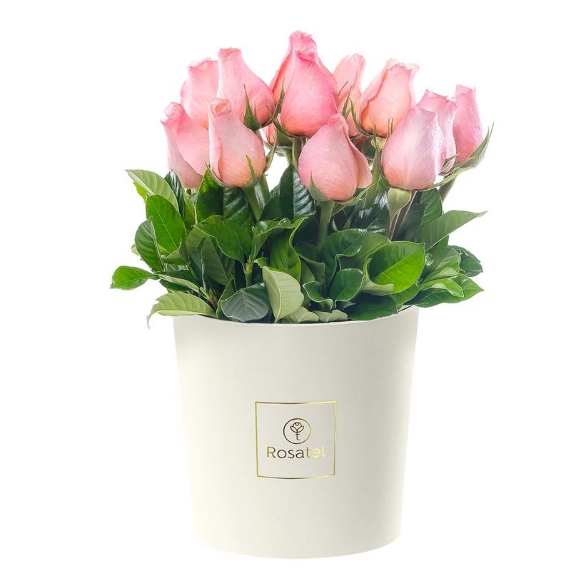 sombrerera-crema-grande-con-15-rosas