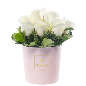 Sombrerera Rosada Mediana con 10 Rosas