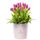 Flores Perú 20 tulipanes fucsia y follaje en sombrerera rosada grande Rosatel