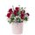 Flores a domicilio y 10 rosas rojas en sombrerera rosada mediana Rosatel