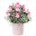 Flores a domicilio y 10 rosas rosadas en sombrerera rosada mediana Rosatel