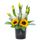 Flores 6 tulipanes amarillos en sombrerera negra mediana Rosatel