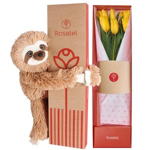 Caja Natural con 6 Tulipanes y Bowie
