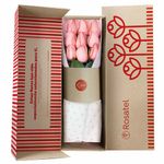 caja-natural-rosatel-nueva-edicion-con-9-rosas