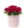 Flores Perú 10 rosas rojas y follaje en sombrerera rosada mediana Rosatel