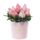 Flores Perú 10 rosas rosadas y follaje en sombrerera rosada mediana Rosatel