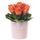 Flores Perú 10 rosas naranja y follaje en sombrerera rosada mediana Rosatel