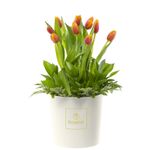 sombrerera-crema-mediana-con-10-tulipanes-naranja-con-borde-amarillo-y-follajes