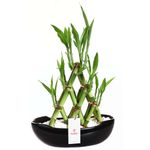 base-ceramica-con-18-varas-de-bambu