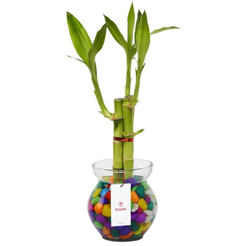 base-de-vidrio-con-3-varas-de-bambu