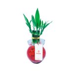 base-vidrio-con-7-varas-de-bambu