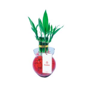Base Vidrio con 7 Varas de Bambú