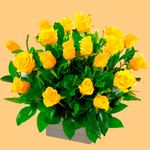 arreglo-lucia-rosas-amarillas
