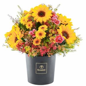 Sombrerera Negra Mediana Arcoíris de Girasoles