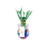 base-de-vidrio-con-7-varas-de-bambu