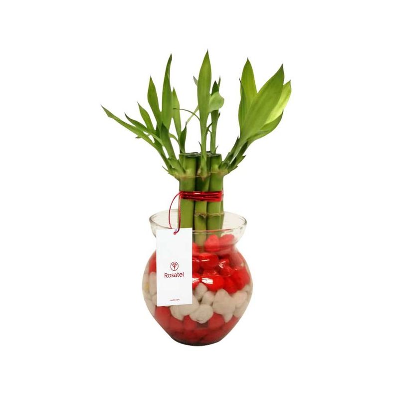 arreglo-vidrio-con-7-varas-de-bambu