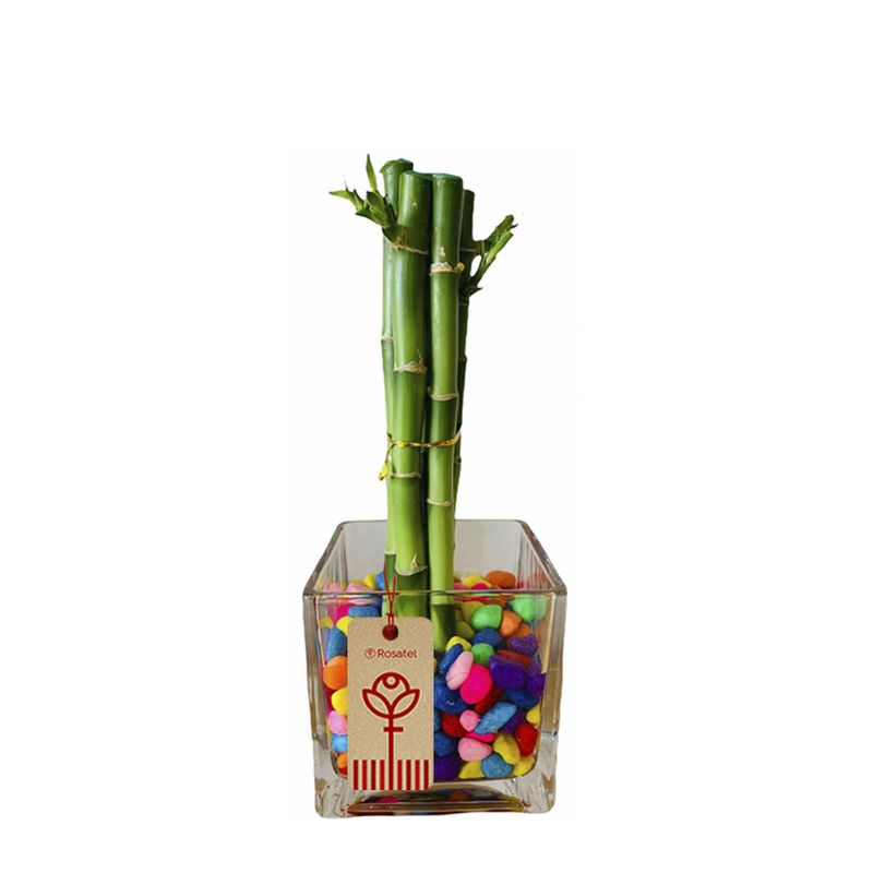 bambu-de-5-varas-y-piedras-de-colores