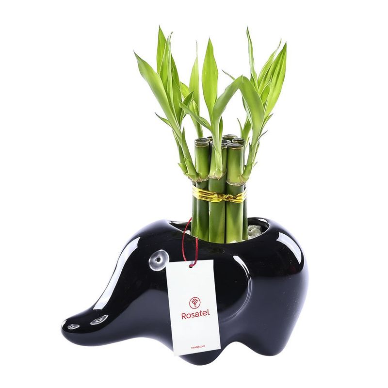 base-ceramica-elefante-con-7-varas-de-bambu