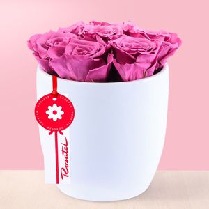 Arreglo Rosas Preservadas Violetas