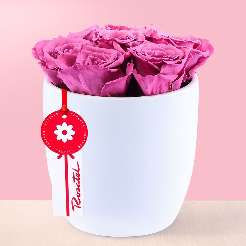 Arreglo-Rosas-Preservadas-Violetas