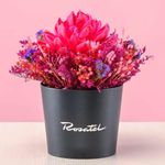 Arreglo-Flor-Maguei-Fucsia