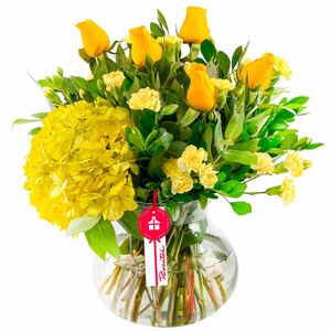 Alegría de Rosas y Flores
