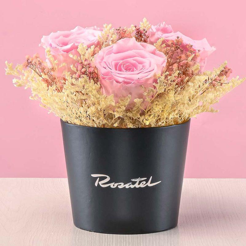 Mini-Arreglo-Rosas-Preservadas-Rosadas-Rosatel