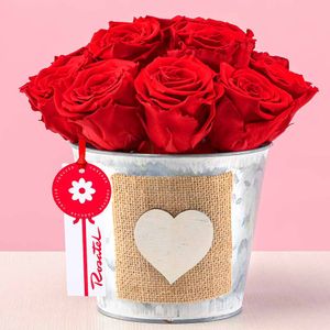 Arreglo Amor Rosas Preservadas