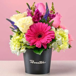 Arreglo Encanto Floral