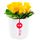Arreglo floral rosas amarillas de amor Rosatel