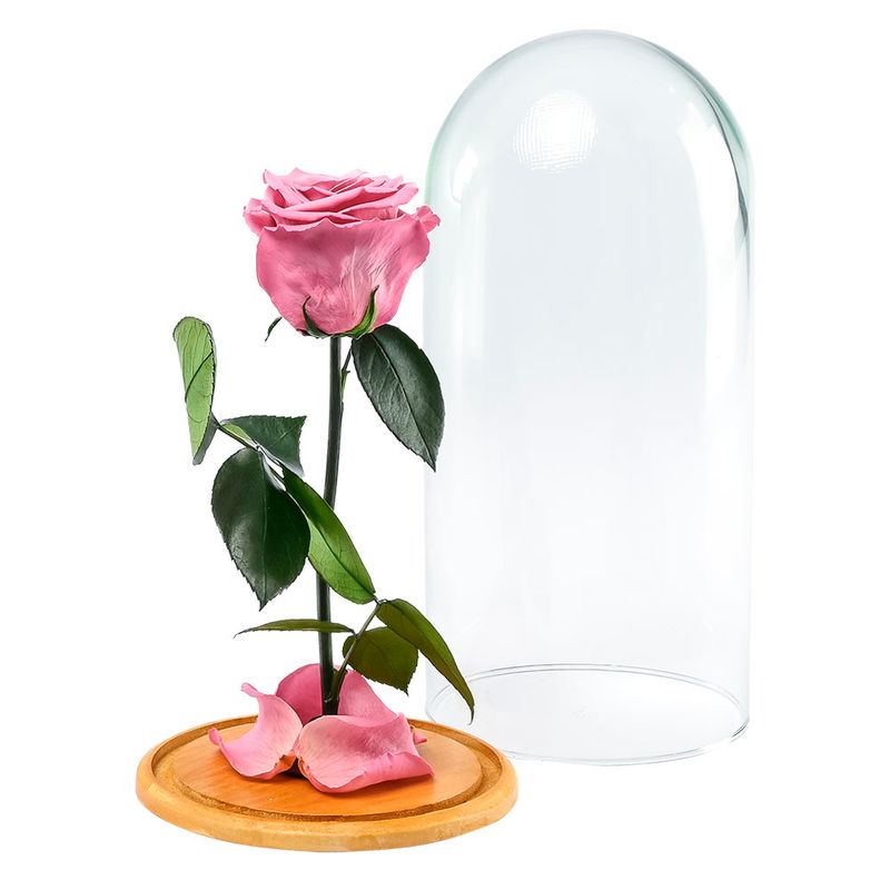 rosa-encantada-violeta