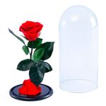 rosa-encantada-en-caja-roja