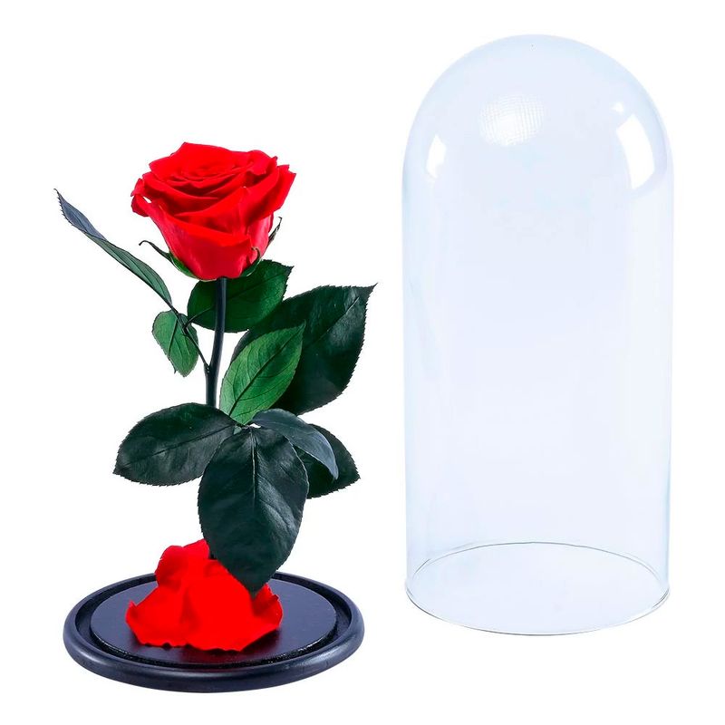 rosa-encantada-en-caja-roja