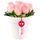 Arreglo floral rosas rosadas de amor Rosatel