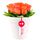 Arreglo floral rosas naranja de amor Rosatel