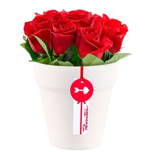 Arreglo Rosas de Amor
