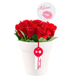 Arreglo Rosas Beso de Amor