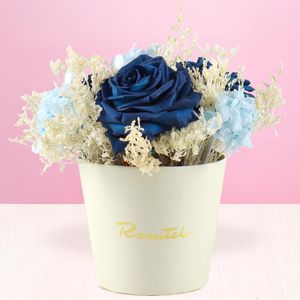 Mini Arreglo Preservado Azul
