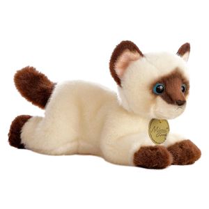 Gatito Miyoni Siamés