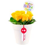 arreglo-rosas-happy-birthday