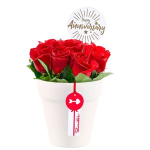 Arreglo Aniversario Rosas