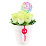 arreglo-rosas-be-happy