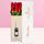 Florerías caja Rosatel con 6 rosas rojas y Riccadonna Asti 200 ml Rosatel