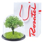 arbol-de-la-vida-verde