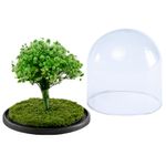 arbol-de-la-vida-verde
