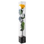 rosa-preservada-amarilla